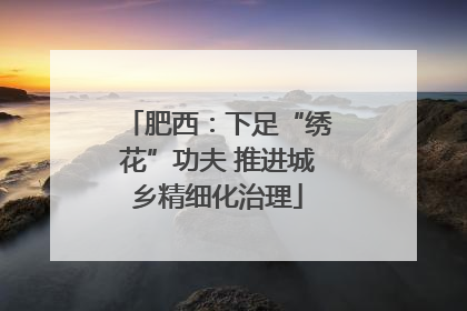 肥西：下足“绣花”功夫 推进城乡精细化治理