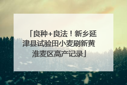 良种+良法！新乡延津县试验田小麦刷新黄淮麦区高产记录