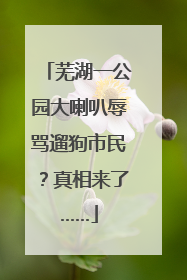 芜湖一公园大喇叭辱骂遛狗市民？真相来了……