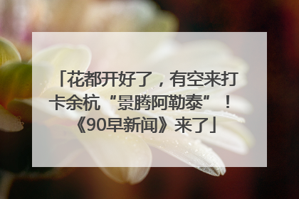 花都开好了，有空来打卡余杭“景腾阿勒泰”！《90早新闻》来了