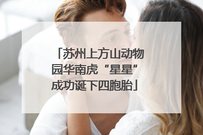 苏州上方山动物园华南虎“星星”成功诞下四胞胎