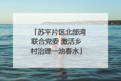 苏平片区北部湾联合党委 激活乡村治理一池春水