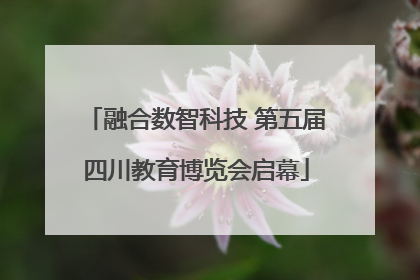 融合数智科技 第五届四川教育博览会启幕