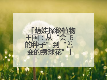 萌娃探秘植物王国：从“会飞的种子”到“善变的绣球花”