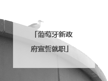 葡萄牙新政府宣誓就职
