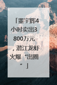 董宇辉4小时卖出3800万元，潜江龙虾火爆“出圈”