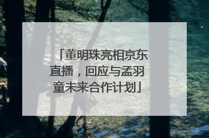 董明珠亮相京东直播，回应与孟羽童未来合作计划