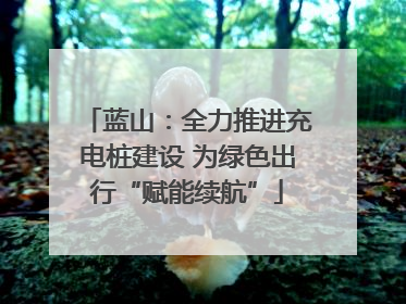 蓝山：全力推进充电桩建设 为绿色出行“赋能续航”