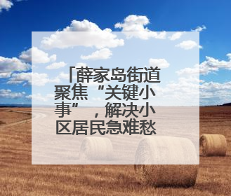 薛家岛街道聚焦“关键小事”，解决小区居民急难愁盼问题