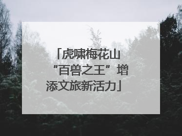 虎啸梅花山 “百兽之王”增添文旅新活力