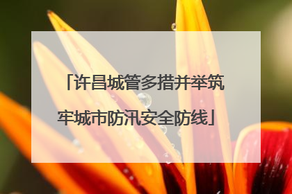许昌城管多措并举筑牢城市防汛安全防线