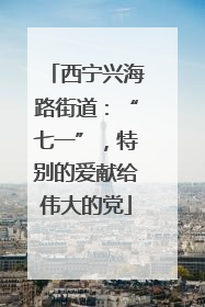 西宁兴海路街道：“七一”，特别的爱献给伟大的党