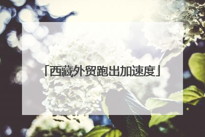 西藏外贸跑出加速度