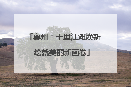 襄州：十里江滩焕新 绘就美丽新画卷