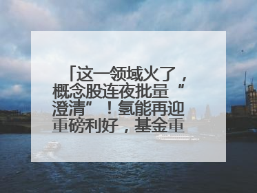 这一领域火了，概念股连夜批量“澄清”！氢能再迎重磅利好，基金重仓股出炉