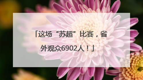 这场“苏超”比赛，省外观众6902人！