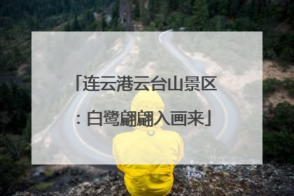 连云港云台山景区：白鹭翩翩入画来