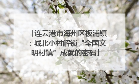 连云港市海州区板浦镇：城北小村解锁“全国文明村镇”成就的密码