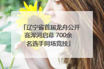 辽宁省首届龙舟公开赛浑河启幕 700余名选手同场竞技