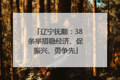 辽宁抚顺：38条举措稳经济、促振兴、勇争先