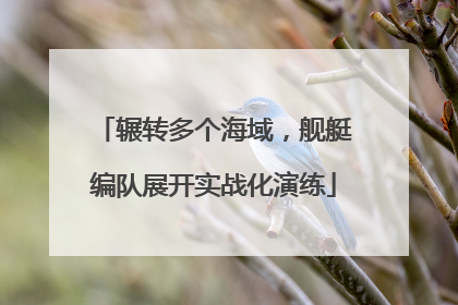 辗转多个海域，舰艇编队展开实战化演练