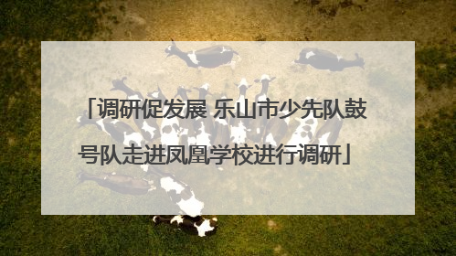 调研促发展 乐山市少先队鼓号队走进凤凰学校进行调研
