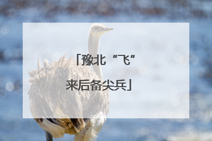 豫北“飞”来后备尖兵