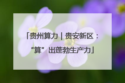 贵州算力｜贵安新区：“算”出蓬勃生产力