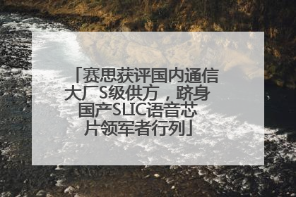 赛思获评国内通信大厂S级供方，跻身国产SLIC语音芯片领军者行列