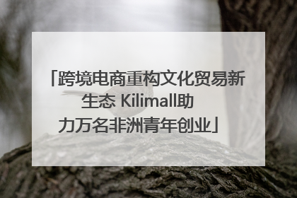 跨境电商重构文化贸易新生态 Kilimall助力万名非洲青年创业