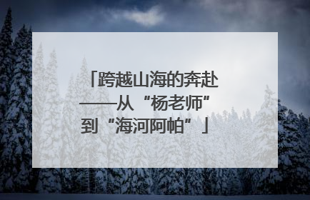 跨越山海的奔赴——从“杨老师”到“海河阿帕”