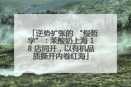 逆势扩张的 “慢哲学”：茉酸奶上海 18 店同开，以有机品质撕开内卷红海