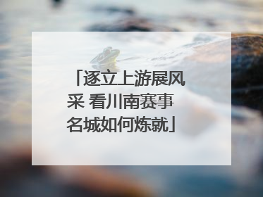 逐立上游展风采 看川南赛事名城如何炼就