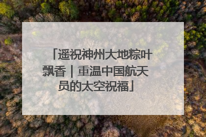遥祝神州大地粽叶飘香｜重温中国航天员的太空祝福