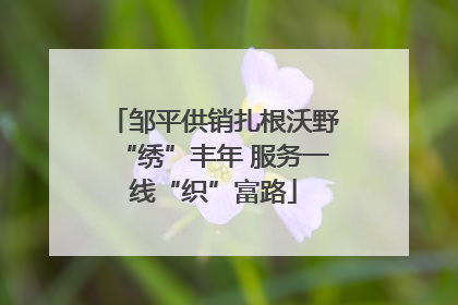邹平供销扎根沃野“绣”丰年 服务一线“织”富路