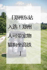 郑州东站入选！郑州人可带宠物猫狗坐高铁