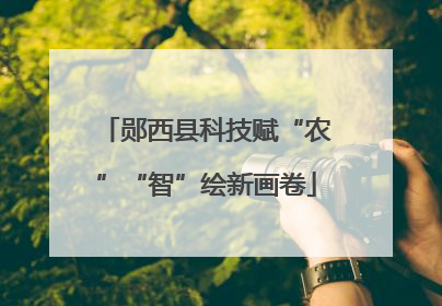 郧西县科技赋“农”“智”绘新画卷