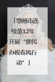 鄂州市连续第12年开展“便民办税春风行动”