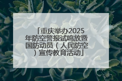 重庆举办2025年防空警报试鸣放暨国防动员（人民防空）宣传教育活动