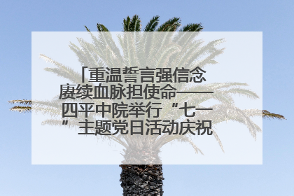 重温誓言强信念 赓续血脉担使命——四平中院举行“七一”主题党日活动庆祝建党104周年