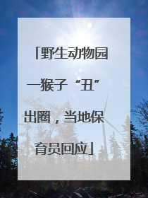 野生动物园一猴子“丑”出圈，当地保育员回应