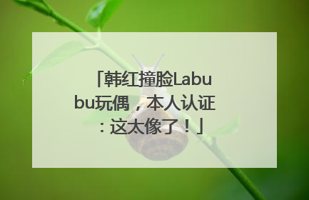 韩红撞脸Labubu玩偶，本人认证：这太像了！