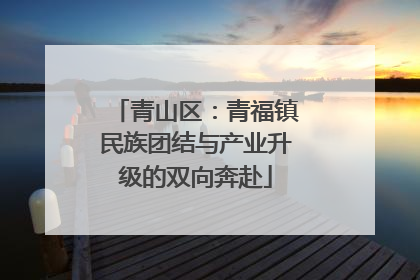 青山区：青福镇民族团结与产业升级的双向奔赴