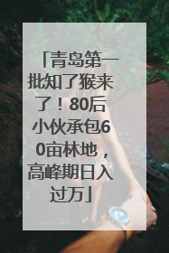 青岛第一批知了猴来了！80后小伙承包60亩林地，高峰期日入过万