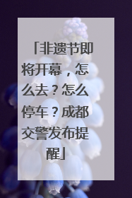 非遗节即将开幕，怎么去？怎么停车？成都交警发布提醒