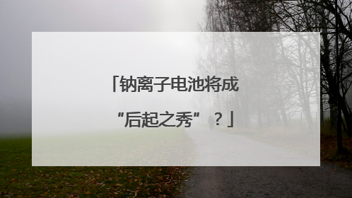 钠离子电池将成“后起之秀”？
