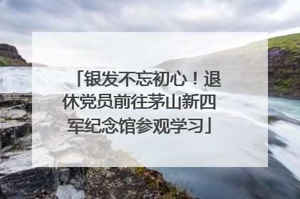 银发不忘初心！退休党员前往茅山新四军纪念馆参观学习