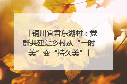 铜川宜君东湖村：党群共建让乡村从“一时美”变“持久美”