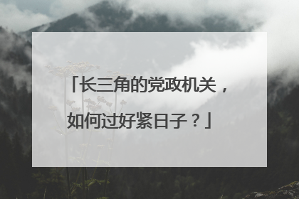 长三角的党政机关，如何过好紧日子？