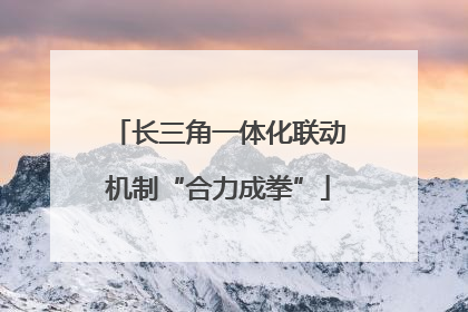 长三角一体化联动机制“合力成拳”